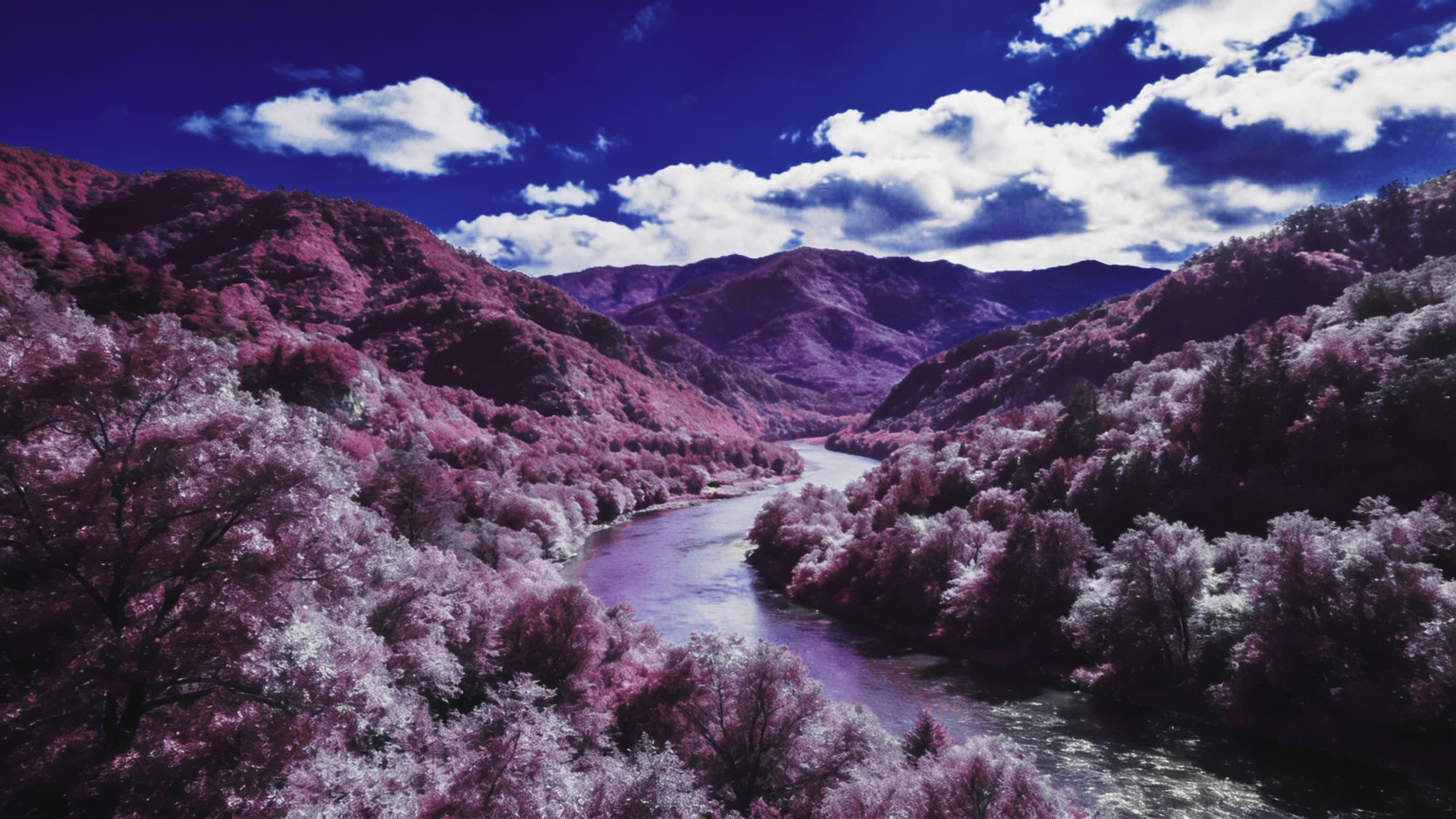 Aerochrome-Falschfarbenlandschaft